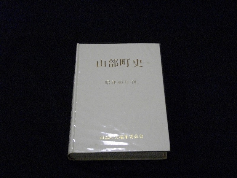 ʐ^